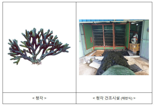 올해부터 청각(해조류) 건조시설도 면세유 사용할 수 있다, 연간 총 13억원 이상의 세금 감면 수혜 예상 올해부터 청각(해조류) 건조시설도 면세유 사용할 수 있다, 연간 총 13억원 이상의 세금 감면 수혜 예상