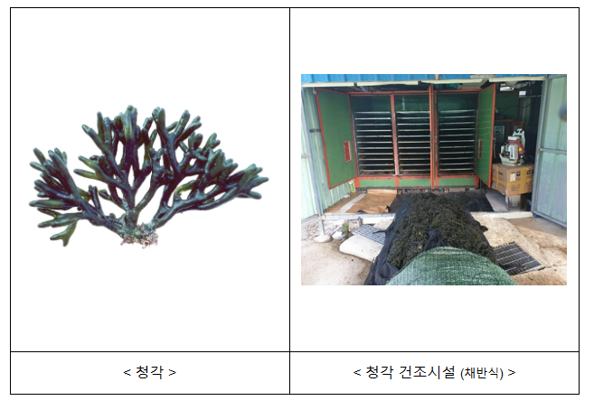 올해부터 청각(해조류) 건조시설도 면세유 사용할 수 있다, 연간 총 13억원 이상의 세금 감면 수혜 예상