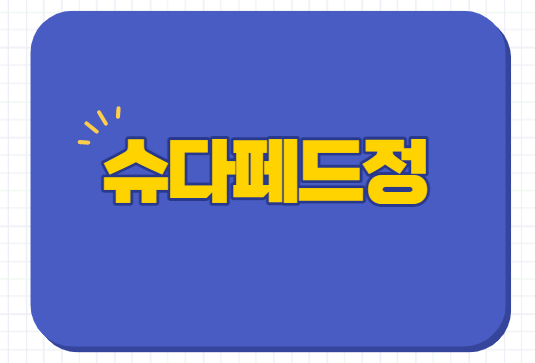  슈다페드정 비충혈제거제 효능 부작용 복용법
