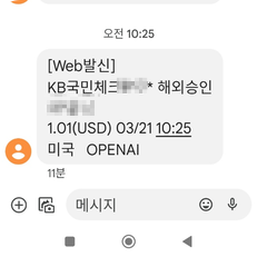 GPT api 사용요금 결제 후기