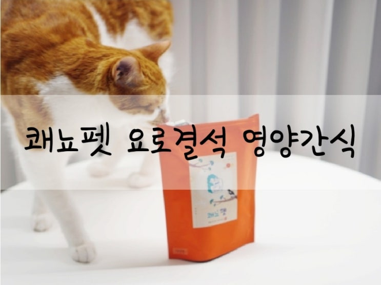  고양이영양간식 요로결석 방광염 쾌뇨펫 수제간식