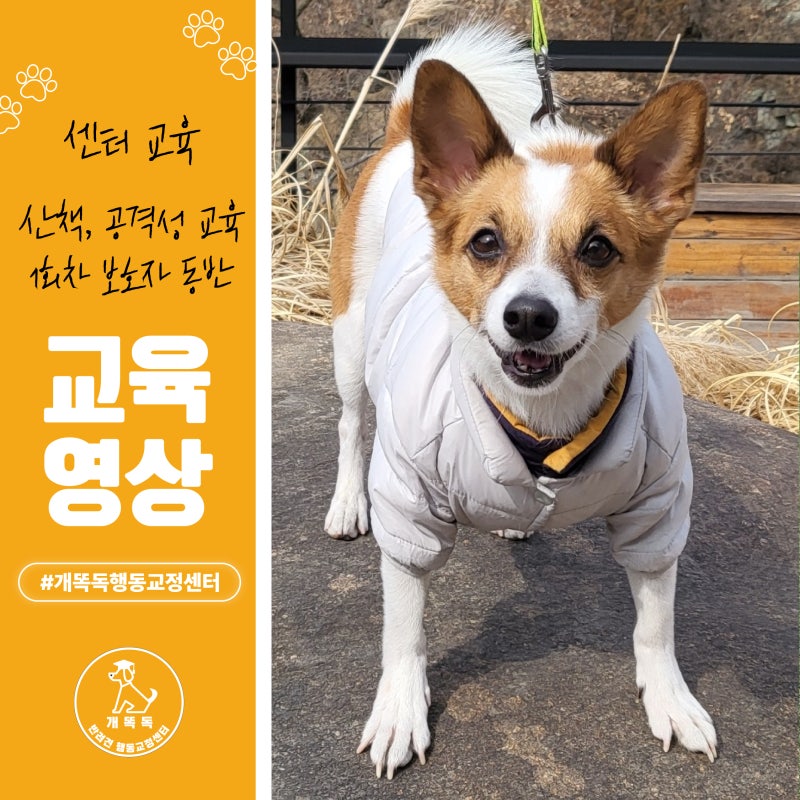 사진 5