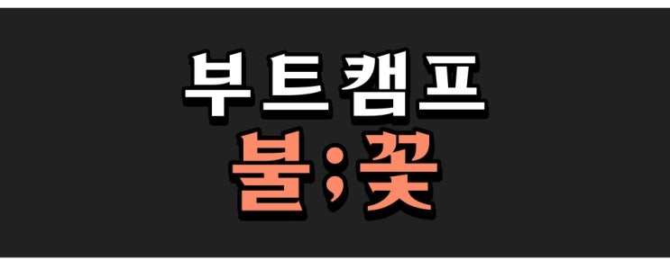 라플라스랩 부트캠프 불;꽃(불꽃) 1기 솔직한 후기