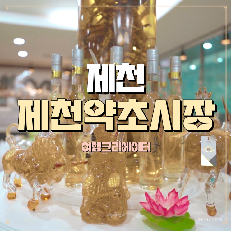  충북 제천시 여행 제천약초시장, 건강 쌍화차, 인삼 산삼, 우슬, 황기, 당귀, 백수오, 부모님 선물, 쌍화차, 약초시장, 재래시장