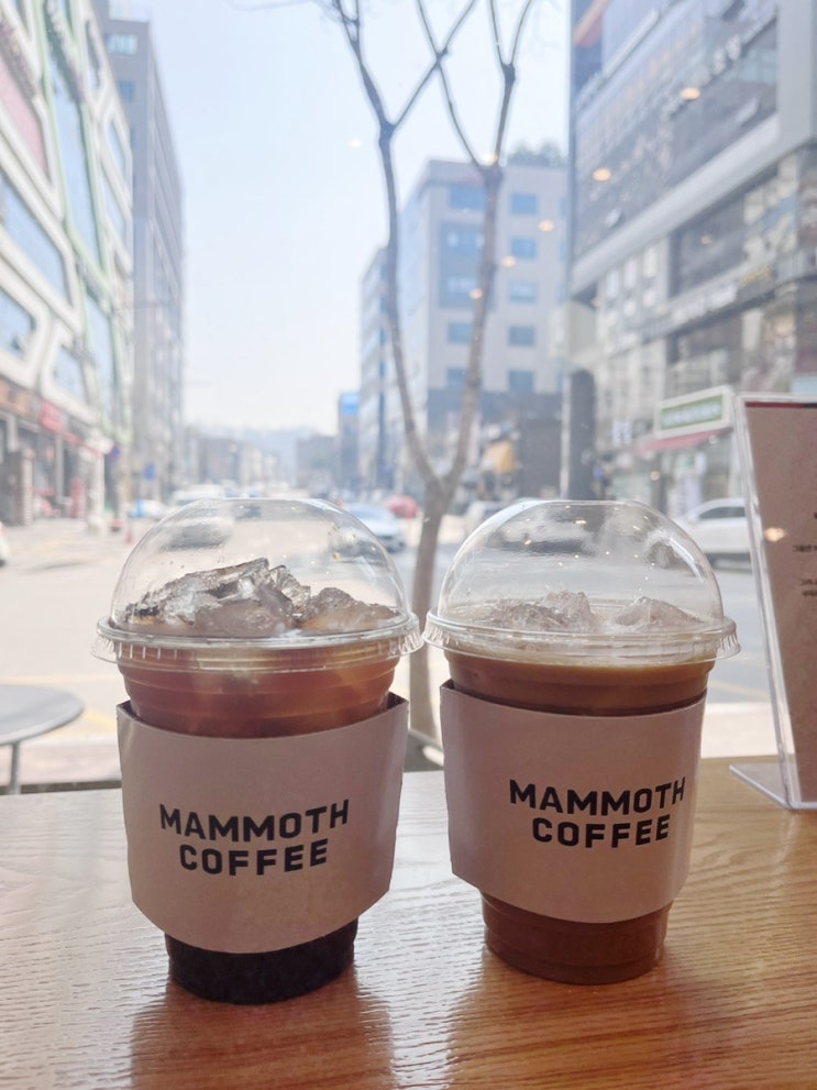 지나가는길 들리기좋은 원주카페 “메머드익스프레스 원주무실점”