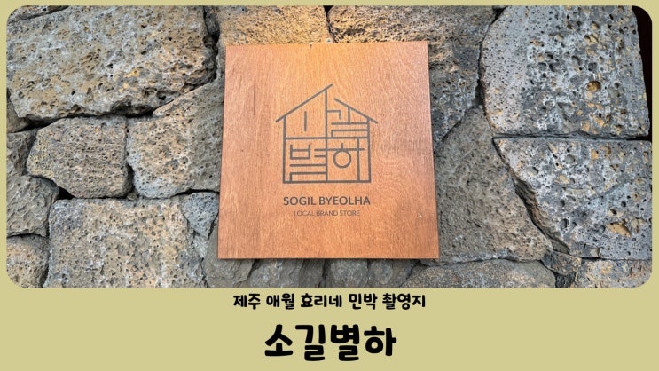  제주 애월 효리네 민박 촬영지 소길별하 다양한 소품 한가득 (feat. 예약필수)