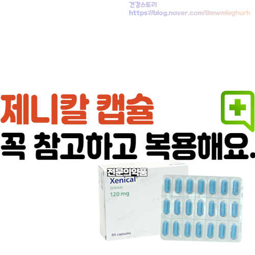  제니칼 비만약 처방 및 가격 지방흡수억제제 효과 정리