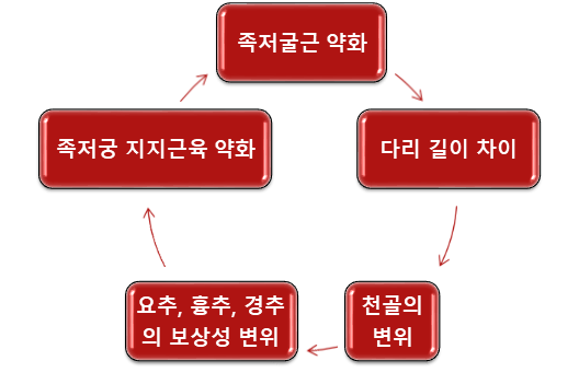  광주척추측만증병원, 틀어짐으로 아프다면 꼭 확인하세요