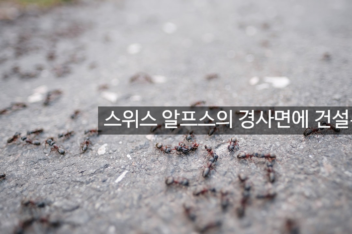  스위스 알프스의 경사면에 건설된 Infinity Pool