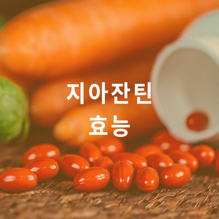  지아잔틴 (제아잔틴) : 효능 효과, zeaxanthin