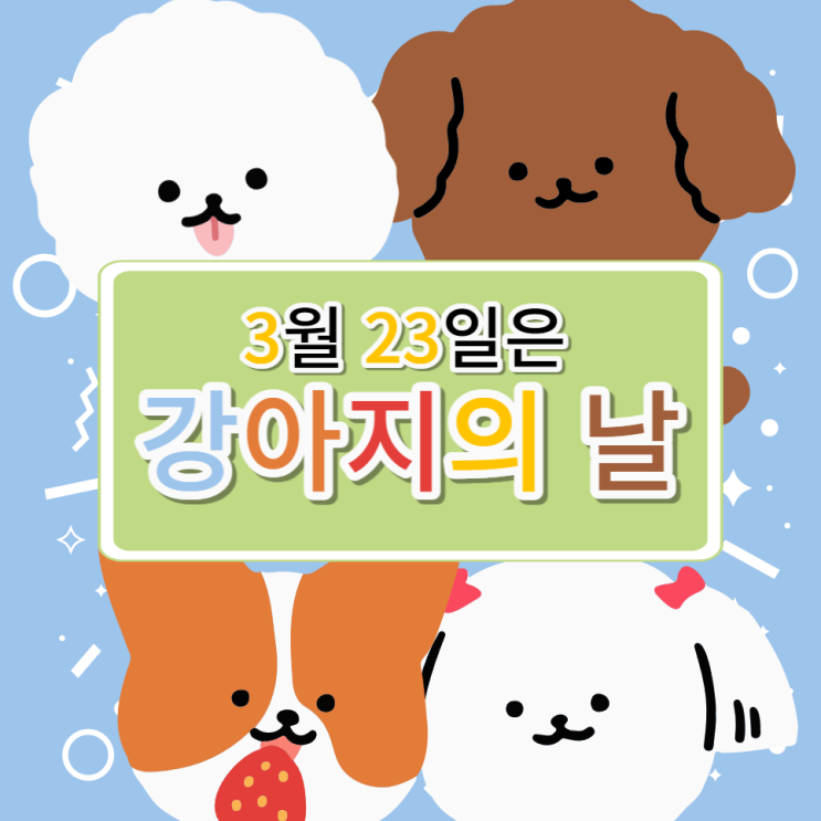  3월 23일 국제 강아지의 날 : 나의 반려견 이해력 쌓기