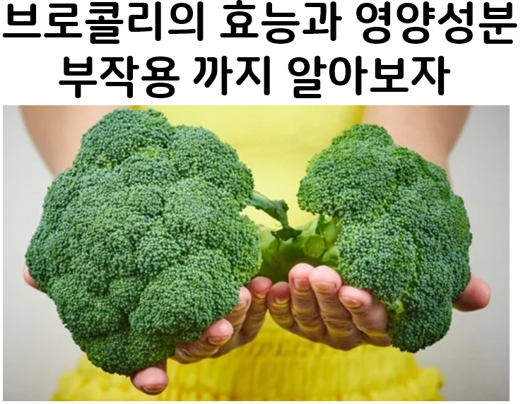  브로콜리의 효능과 영양성분 과 부작용들