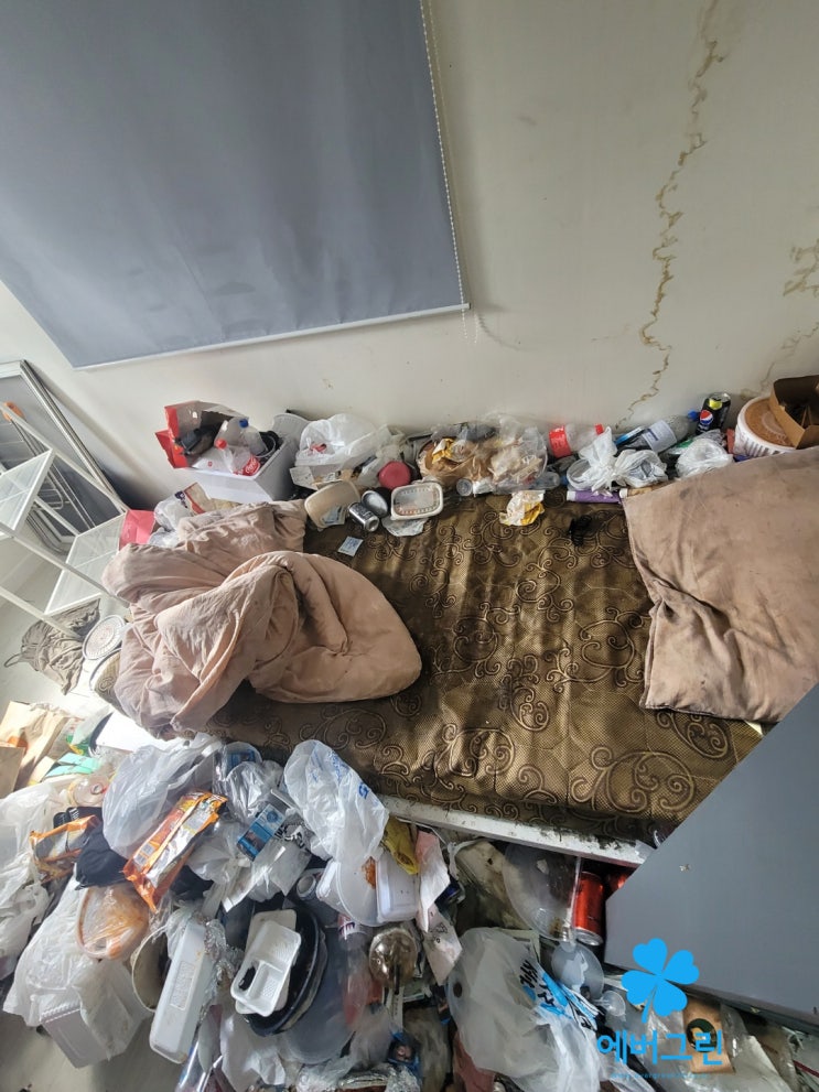  원룸 쓰레기집 청소방법 하루 안에 해결