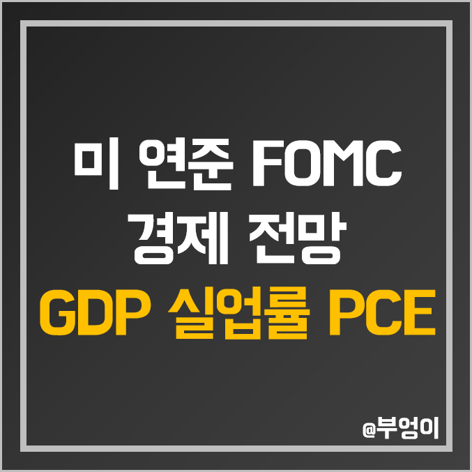 미국 GDP, 실업률, 개인소비지출 물가지수 PCE 예상 (ft. 연준 FOMC 경제 전망 및 점도표 뜻)