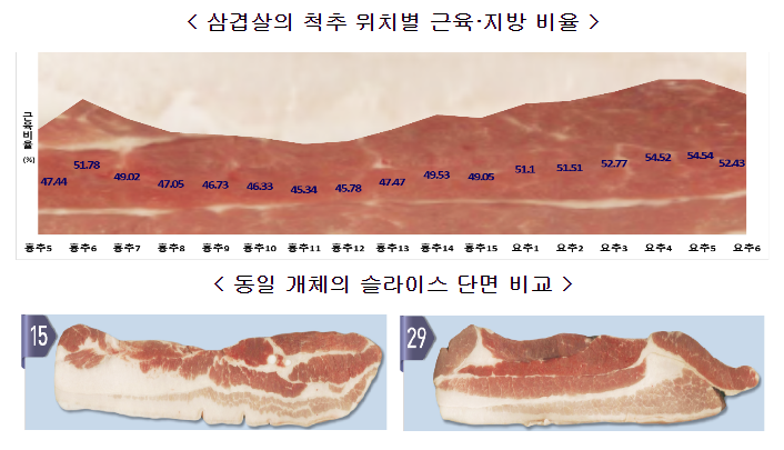 농식품부, 관련 업계 등과 함께 삼겹살 등 돼지고기 품질 관리 노력 전개 및 소비자 정보 제공 강화 추진 농식품부, 관련 업계 등과 함께 삼겹살 등 돼지고기 품질 관리 노력 전개 및 소비자 정보 제공 강화 추진