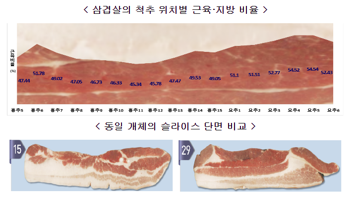 농식품부, 관련 업계 등과 함께 삼겹살 등 돼지고기 품질 관리 노력 전개 및 소비자 정보 제공 강화 추진