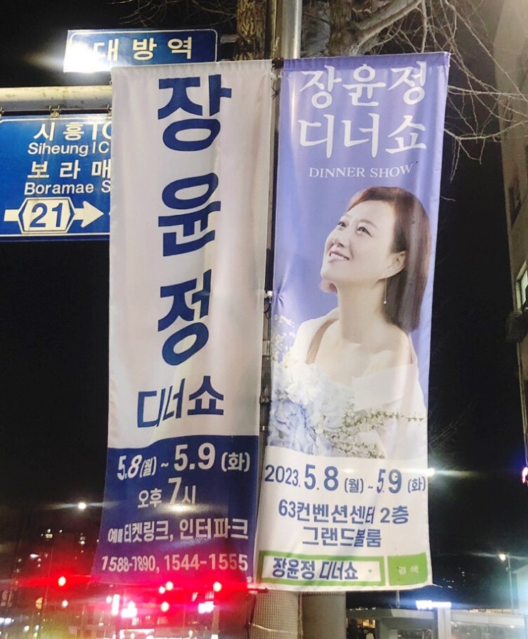  장윤정 디너쇼! 5월 8일 어버이날부터 9일까지 63컨벤션센터 2층 그랜드볼룸에서!