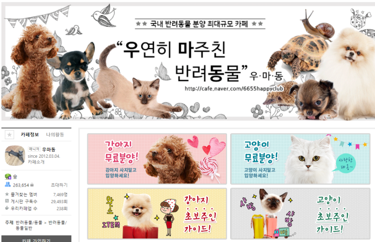  집사LIFE / 반려동물 아기 고양이를 맞이하다 - 준비하기(1)