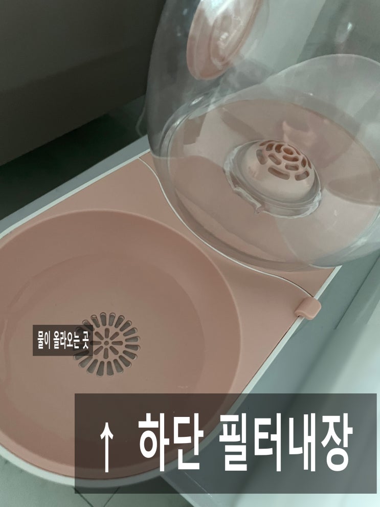  필터가 있어 위생적인 강아지 고양이 대용량 물그릇 딩동펫 반려동물 달팽이 반자동 급수기 [내돈내산 솔직후기]