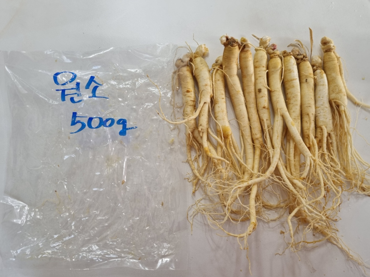 최상금 수삼 건강하고 맛있게 먹는방법알려드려요 최상금 수삼 건강하고 맛있게 먹는방법알려드려요