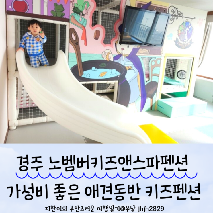  경주 노벰버키즈앤스파펜션 가성비 좋은 애견동반가능한 키즈펜션