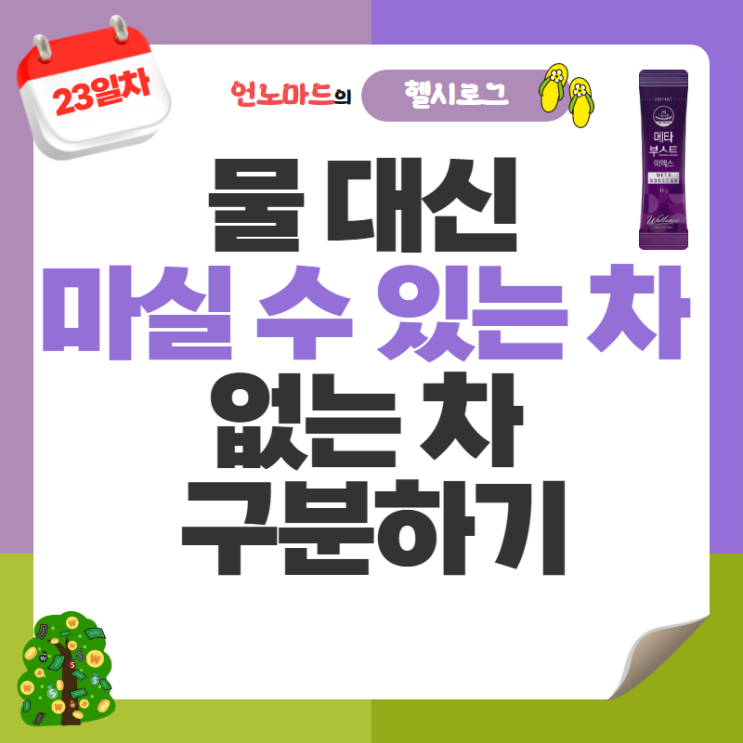  23일차, 물 대신 마실 수 있는 차와 없는 차 구분하기