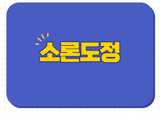  소론도정 효능 효과 부작용 술 여드름 스테로이드