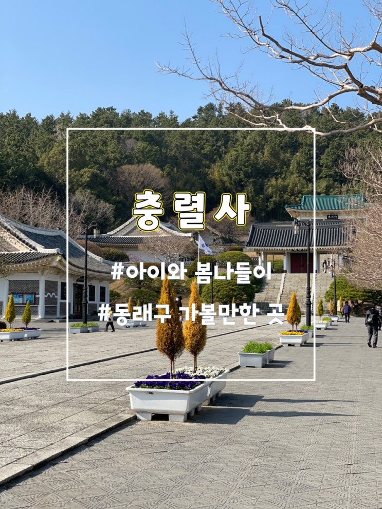  부산 동래 충렬사, 아이와 산책하기 좋은 곳 (잉어 먹이주기 체험)