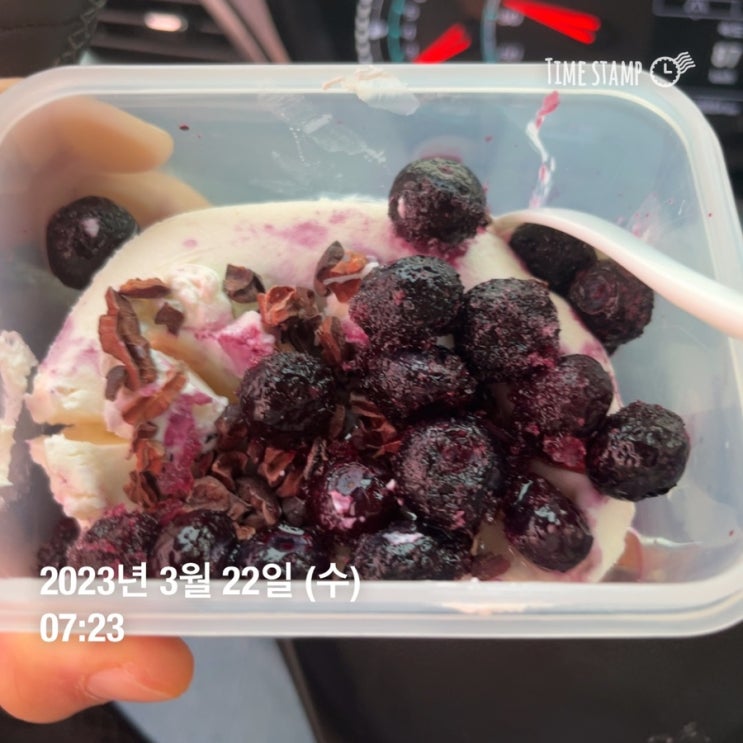  2023 양쓰 다이어트 10kg 감량해보자 오마카세 내기 했잖아 D+1~7