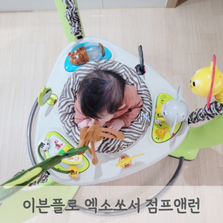  이븐플로 엑서쏘서 점프앤런 사파리 프렌즈 후기