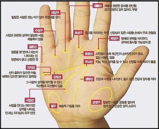 단식주의) 셀프로 손금 보는 방법 공유 (#1) 단식주의) 셀프로 손금 보는 방법 공유 (#1)