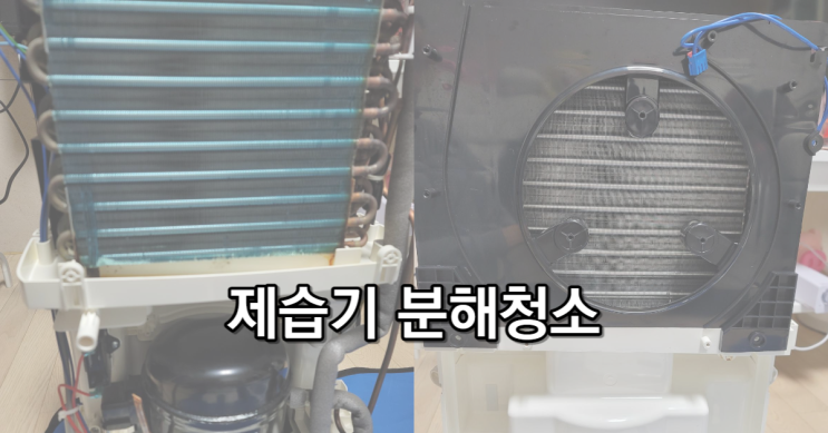  봄여름 대비 위닉스 제습기 케어