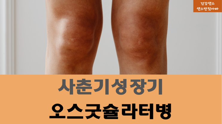  초중학교 사춘기 성장기 무릎통증 (오스굿씨병) 오스굿슐라터병 정의 원인 주요증상 치료방법