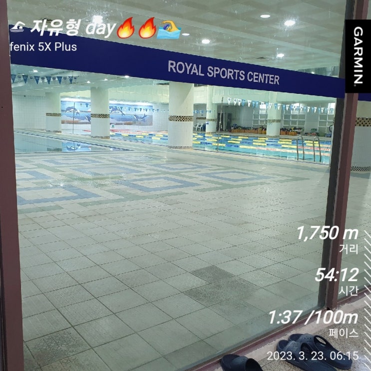  [수영일기] 3월 23일 자유형 물잡기
