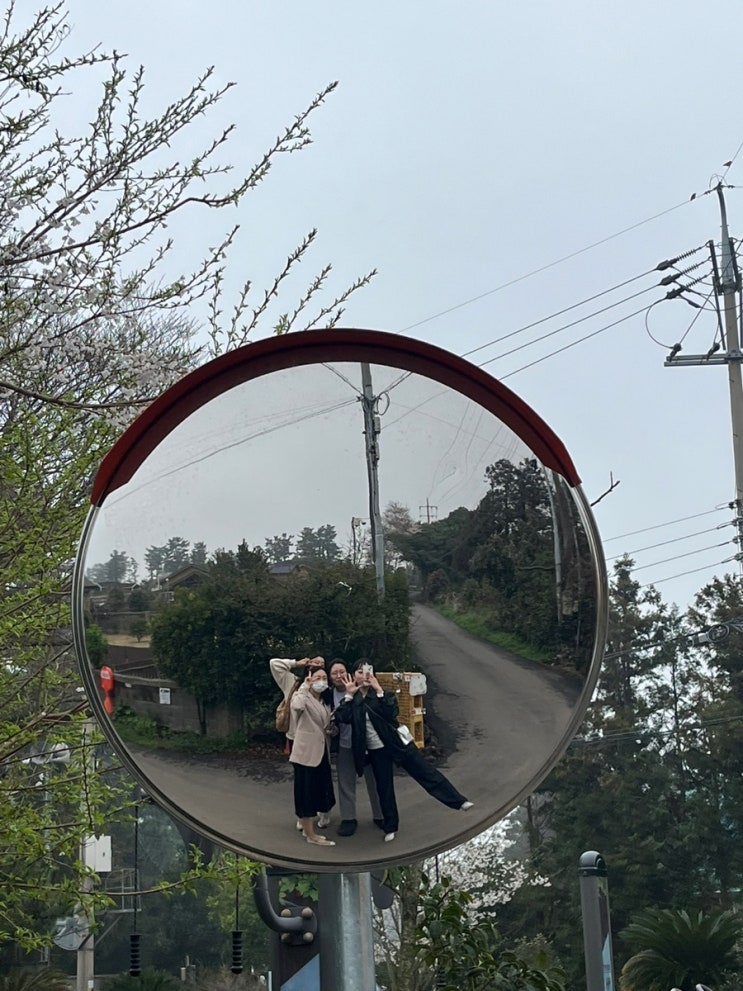  반나절 오프