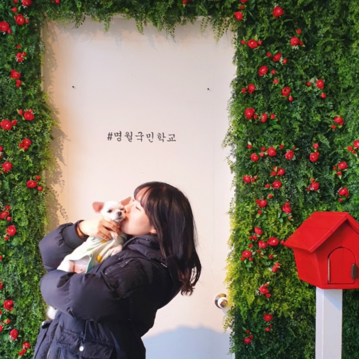  국제강아지의 날 )  사랑하는 똘똘이  무지개다리 너머에서 잘 지내고 있기를