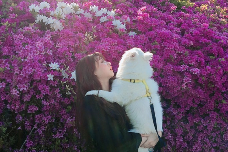  강아지의 날, 너와 함께한 사계절