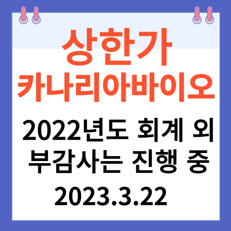 카나리아바이오 주가차트와 급등락 "2022년도 회계 외부감사는 진행 중"