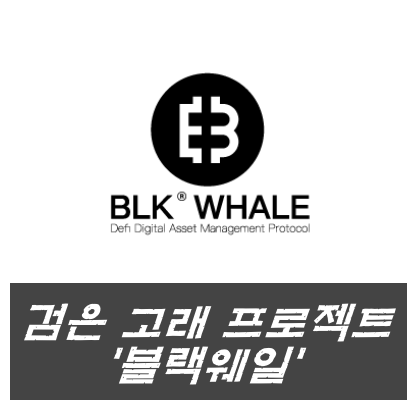  프라이빗세일 코인 블랙웨일 BLK 코인
