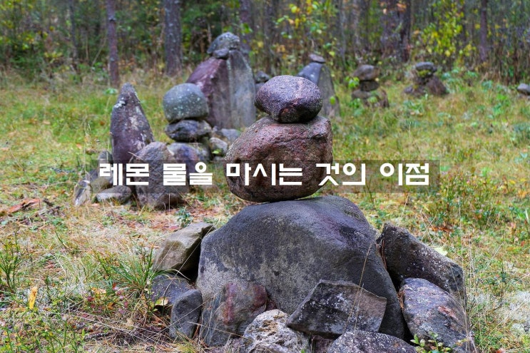  레몬 물을 마시는 것의 이점