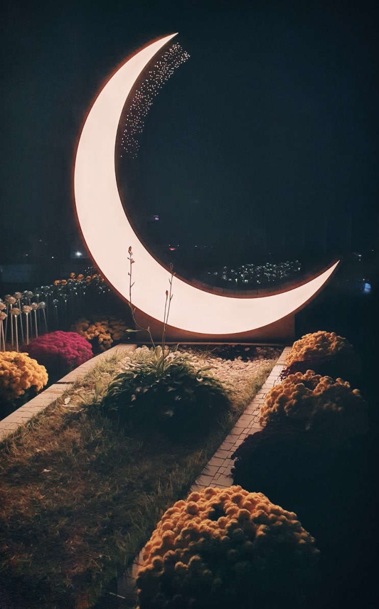  달님