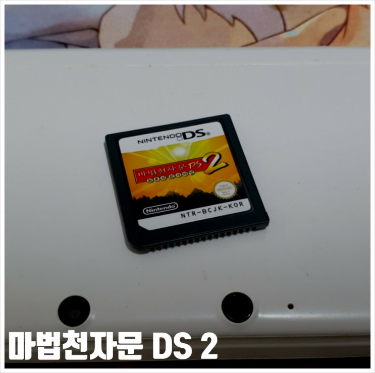  마법천자문 DS 2 최후의 한자마법 입문