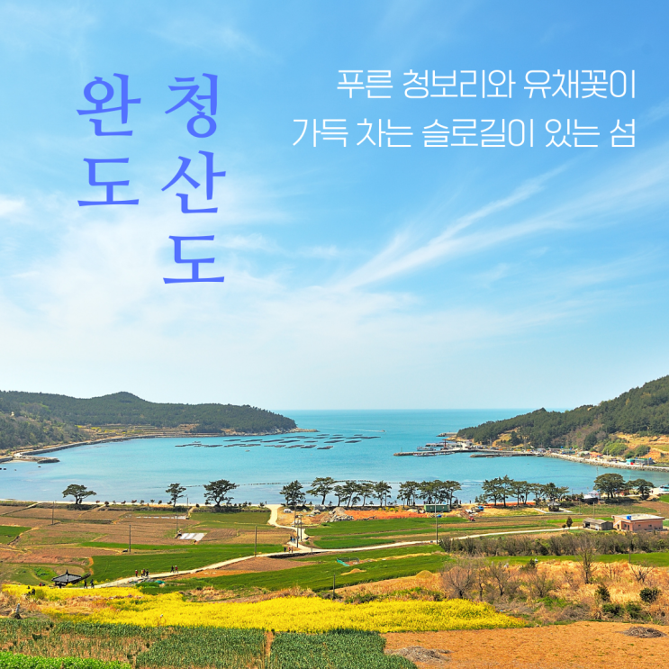  전라도  걷기여행의 성지 청산도 배편 축제 정보 4월 가볼 만한 곳