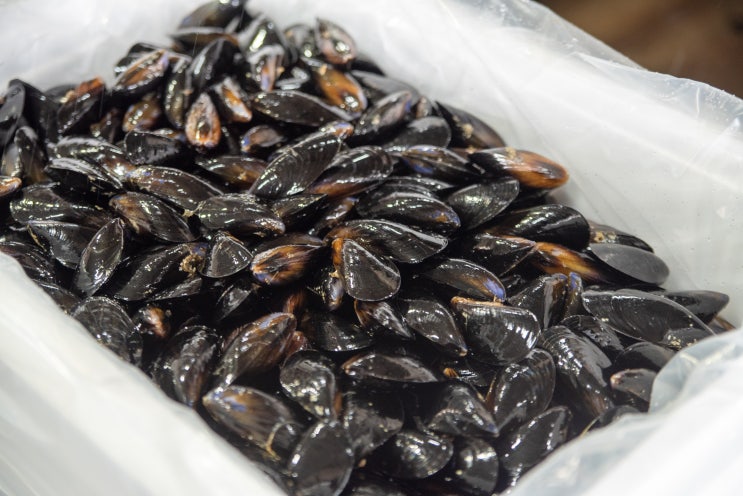  여수수산물 택배  :: 여수홈합 수산물택배 이용 홍합나라