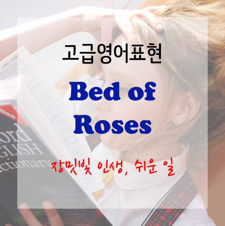  [고급영어표현] Bed of Roses - 장밋빛 인생, 평탄한 삶, 쉬운 일