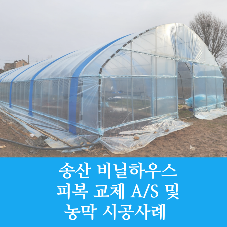  [화성시 비닐하우스 시공] 송산 비닐하우스 피복 A/S 교체 / 농막 시공 현장 / 화성시 비닐하우스 / 송산 비닐하우스 / 비봉 비닐하우스 / 화성시 대형 농자재 백화점 /