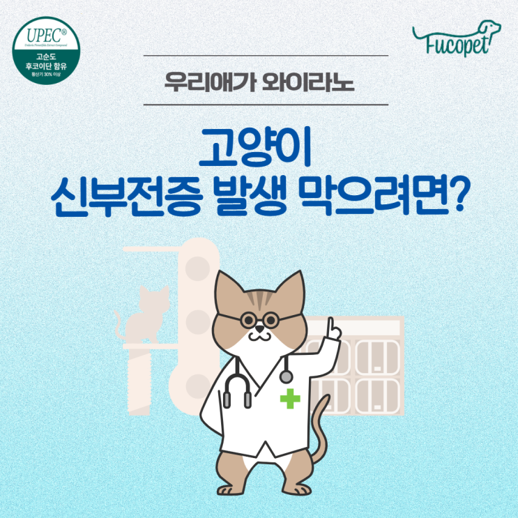  59th. 고양이 신장 영양제 물을 많이 마시고 소변을 자주 본다면, 후코이단 후코펫