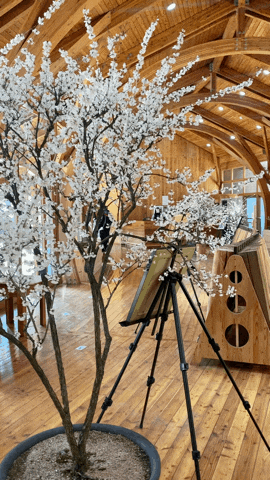  청주 "미동산수목원" 산책하기 좋은 곳 추천!! [무료 개방]