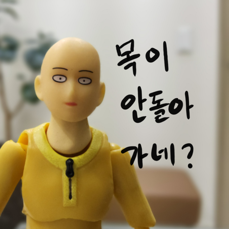 문정동 한의원 목이 안돌아가는데, 추나받으면 되나요?