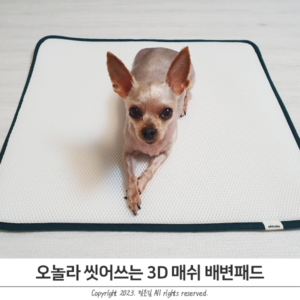 씻어쓰는 제로웨이스트 강아지배변패드 오놀라 씻어쓰는 제로웨이스트 강아지배변패드 오놀라